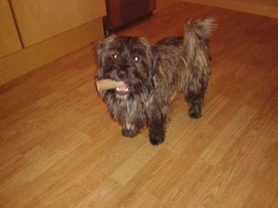 CamEraFitness's profile picture. If we disagree, you're wrong....sorry. 😂