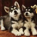 jake ruggles - @Zerobeat2633 - Twitter