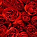 saer (@11saer99) Twitter