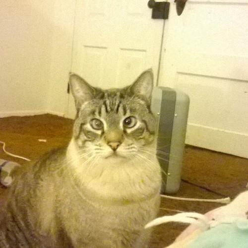 adieray80's profile picture. A mom of one.