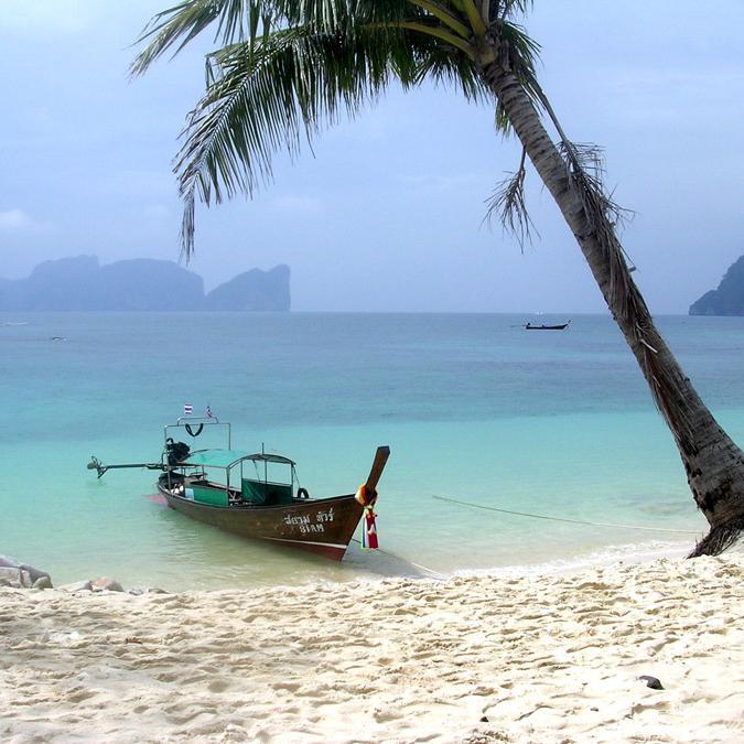 AlexandrVietnam's profile picture. 