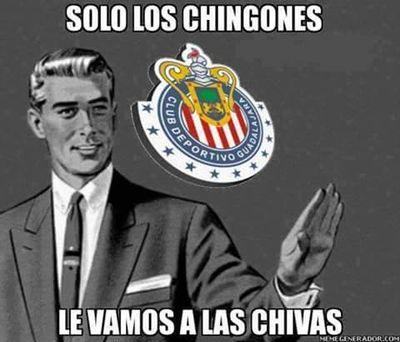 gasama2696's profile picture. vamos chivas por la copa #12