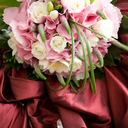 Sherry Smith - @sherrysmithmphs - Twitter