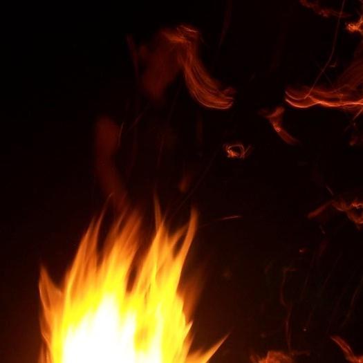 BiTL_TK's profile picture. who cares