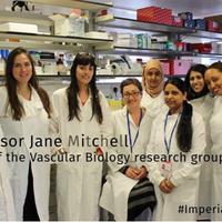 ProfJane@CardiothoracicPharmacogy (@profjaneam) 's Twitter Profile Photo