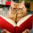 ssdwilliams_nps's profile image