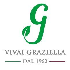 VivaiGraziella's profile picture. Siamo qui dal 1962 ed intendiamo restarci per altri 1000 anni!! Ci trovate nel parco dell'Appia Antica a 10 minuti dal centro di Roma e 10 dai Castelli Romani.