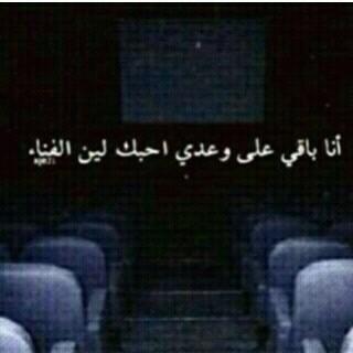 memo_aljohany's profile picture. 