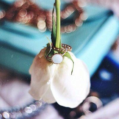 متفآئلھ رغمَ گل [ شيُء ] ♥ !