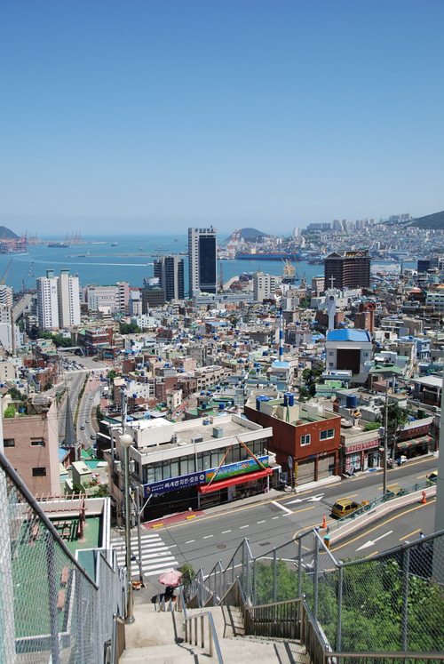 chromesecurity's profile picture. 