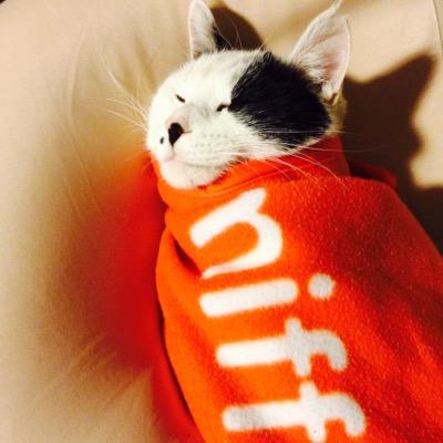 N /とすれ違うとラッキー