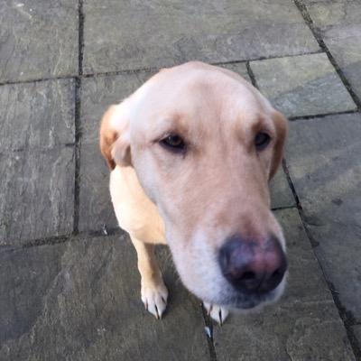 Allybradley4's profile picture. 