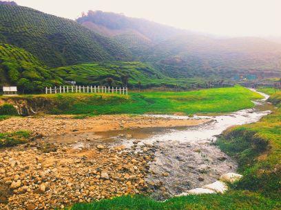 iqbalishak_'s profile picture. follow me and insyaAllah i will follow u back