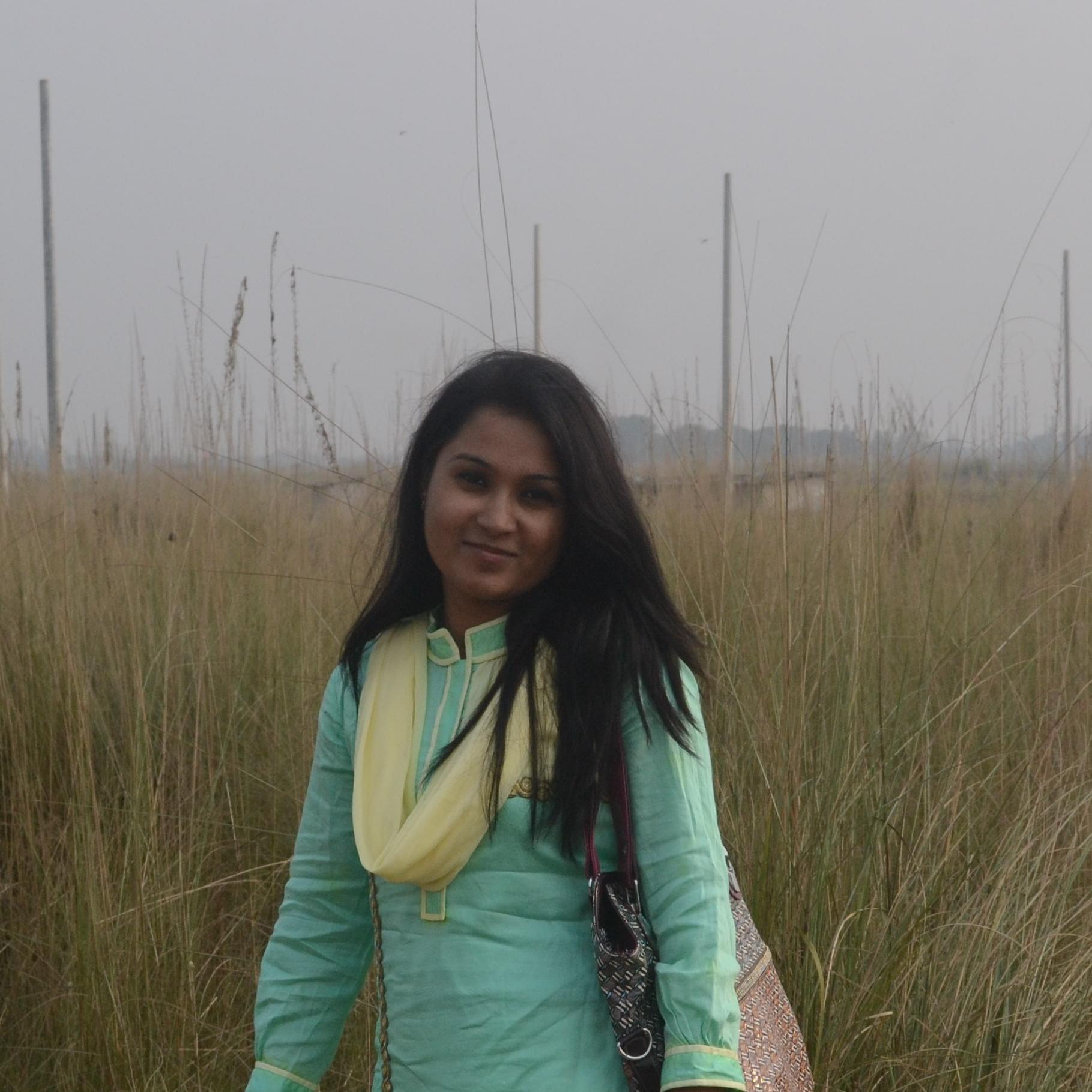 RoyNirmola's profile picture. 