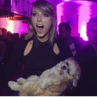5sos and phan and taylor swift mean everything to me