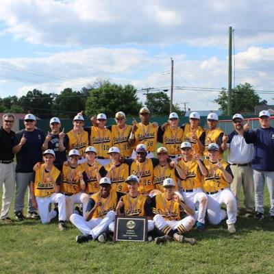 Steward Baseball Profile