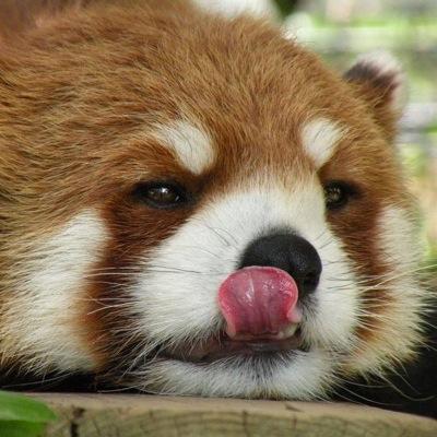 よっくん ここ最近の浜口京子が気持ち悪い みなさんのおかげてした