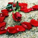 جنى الورد (@056ba6b5833744f) Twitter