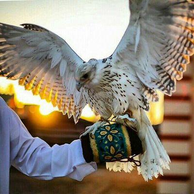 عماني و العماني غير