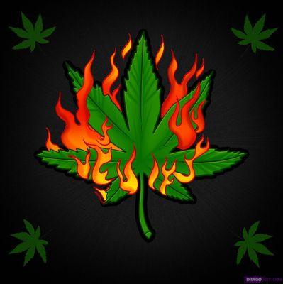 just a crazy Canadian who loves growing and smoking his own weed and hot peppers. Also addicted to watching @midnight and playing #wars