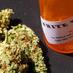 MedicinalCannabis UK (@medicannuk) Twitter profile photo MedicinalCannabis UK (@medicannuk) Twitter profile photo