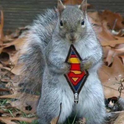 BrandonGustyn's profile picture. I'm perpetually Tom Sawyer. follow my adventures from 5K to 50K, mud to mountains.