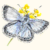 BC_HertsMiddx (@bc_hertsmiddx) Twitter profile photo BC_HertsMiddx (@bc_hertsmiddx) Twitter profile photo
