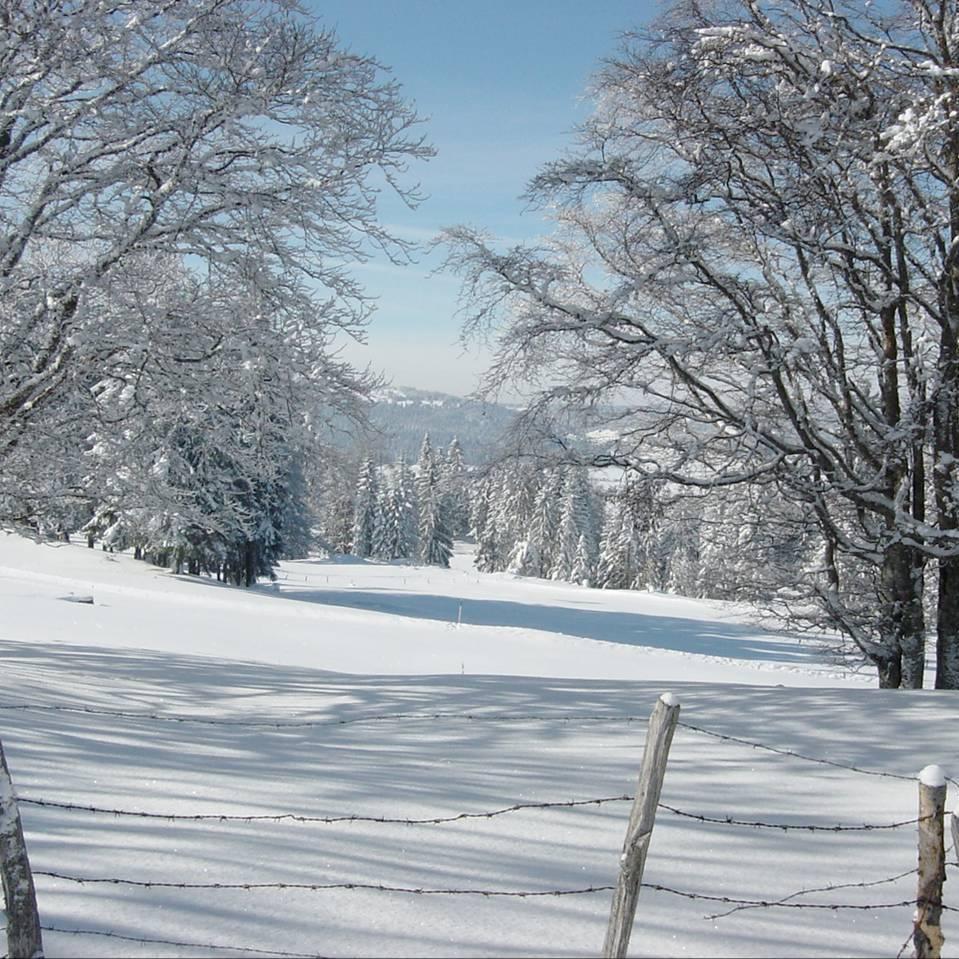 Hurrem_Nur's profile picture. İki kapılı bir handa bir garip yolcu...Gelince boşluk dolduran değil, gidince yeri doldurulmayan bir yolcu olmalı...