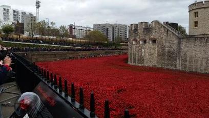 tomlionheart's profile picture. 