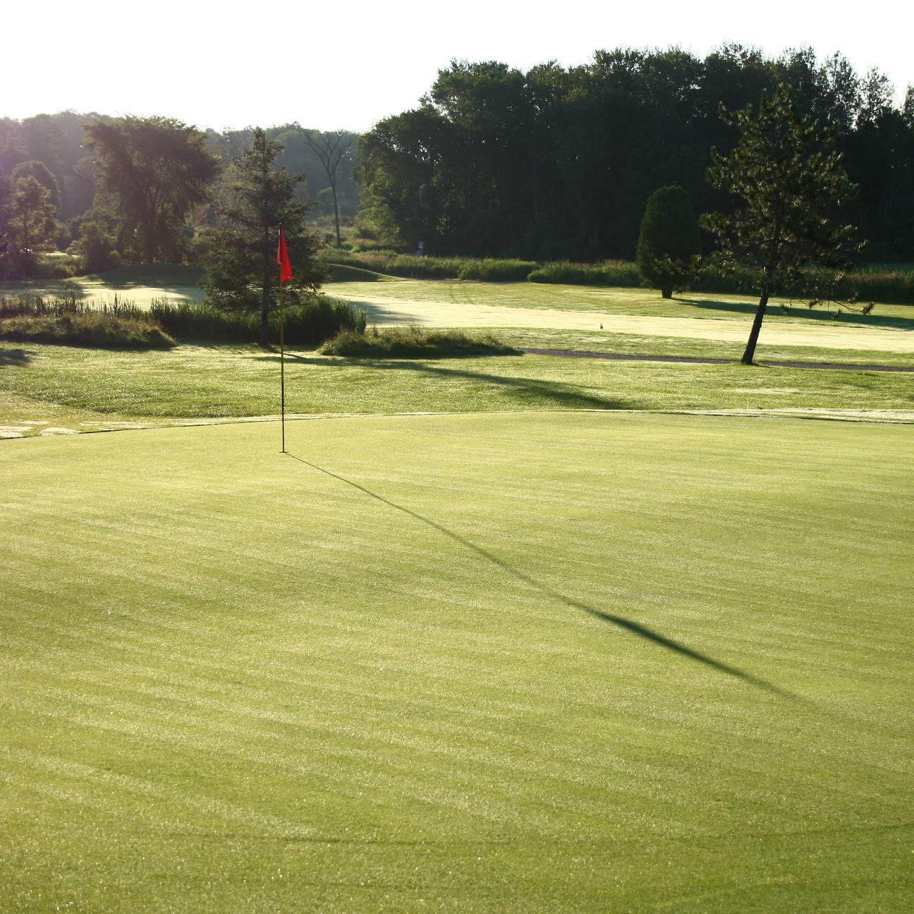 Best golf value in Simcoe County. Friendly family style service.