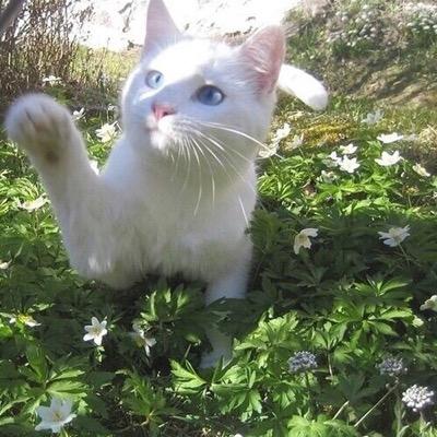 dm me cute things about your fav mutual and i'll tweet it anonmously :)