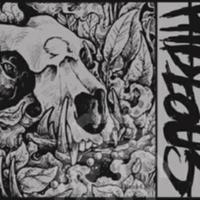 Hideous (@hideous_id) 's Twitter Profile