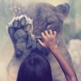 JudeMasoud's profile picture. Cancer♋
 '97