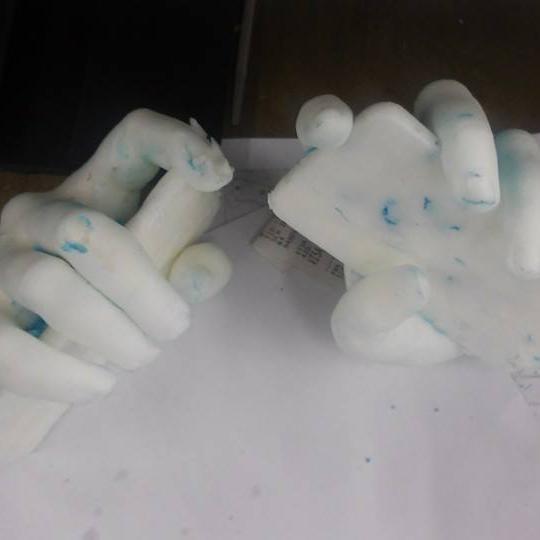 polar water in tropical bears