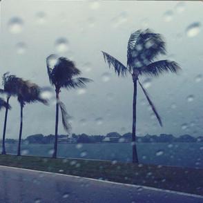 Is it raining Miami? How does the weather look out there? I'll let you know.
