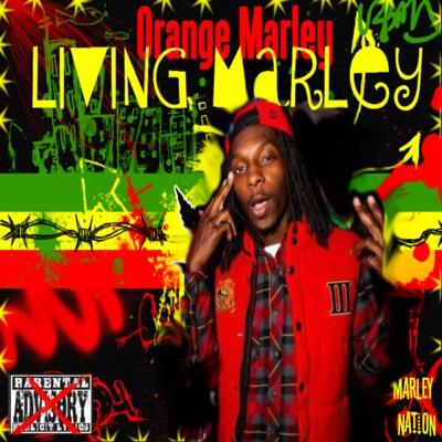 BackWoodMarley_'s profile picture. im a rapper .....go get Living Marley on @Spinrilla & @LiveMixtapes