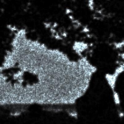 _o_y_r_'s profile picture. ドバイ在住希望