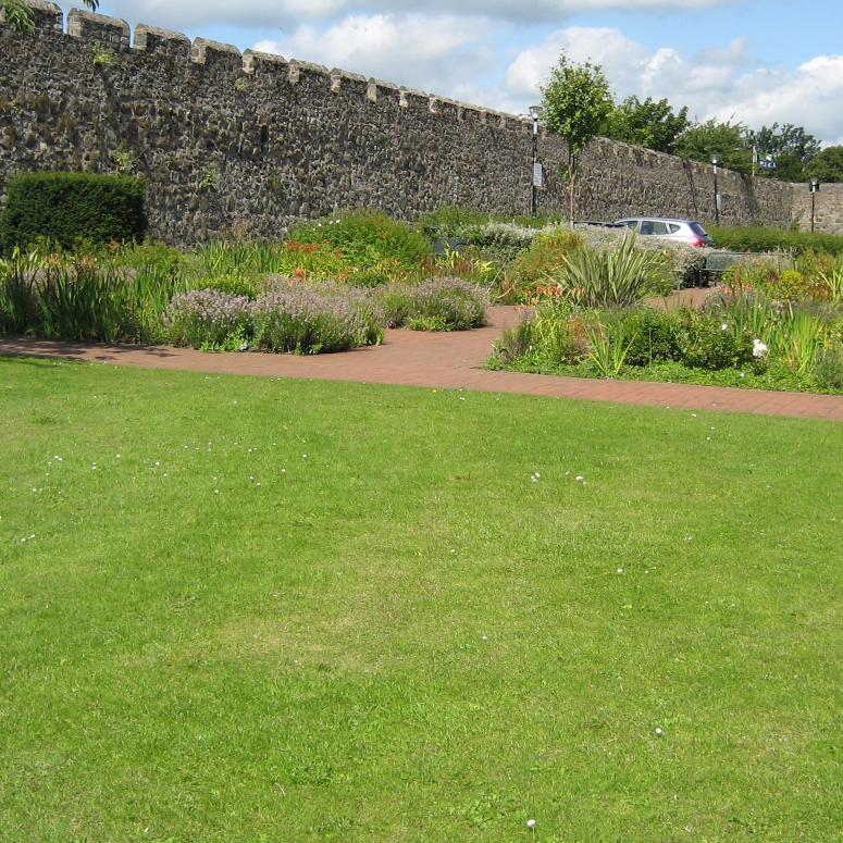 CarrickTownWall Profile Picture