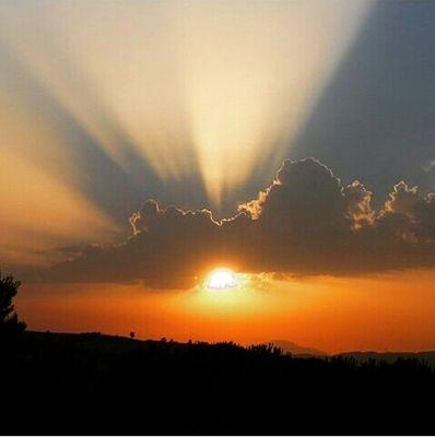 lourdesnavarroe's profile picture. 