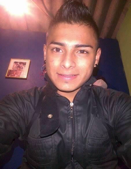 whatsapp: 313 275 0310