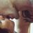 8923472's profile image