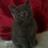 GaryShortt2's profile image