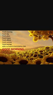 stonetree2015's profile picture. 