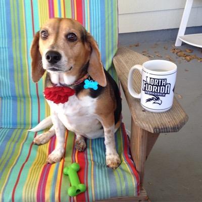 adecentvictory's profile picture. AVP for Alumni Engagement and Annual Giving at UNF - husband, father, dog lover and proud #Osprey