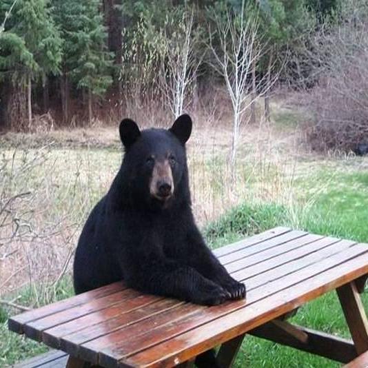 jjrtwit's profile picture. 