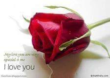 faa48670df034a0's profile picture. 