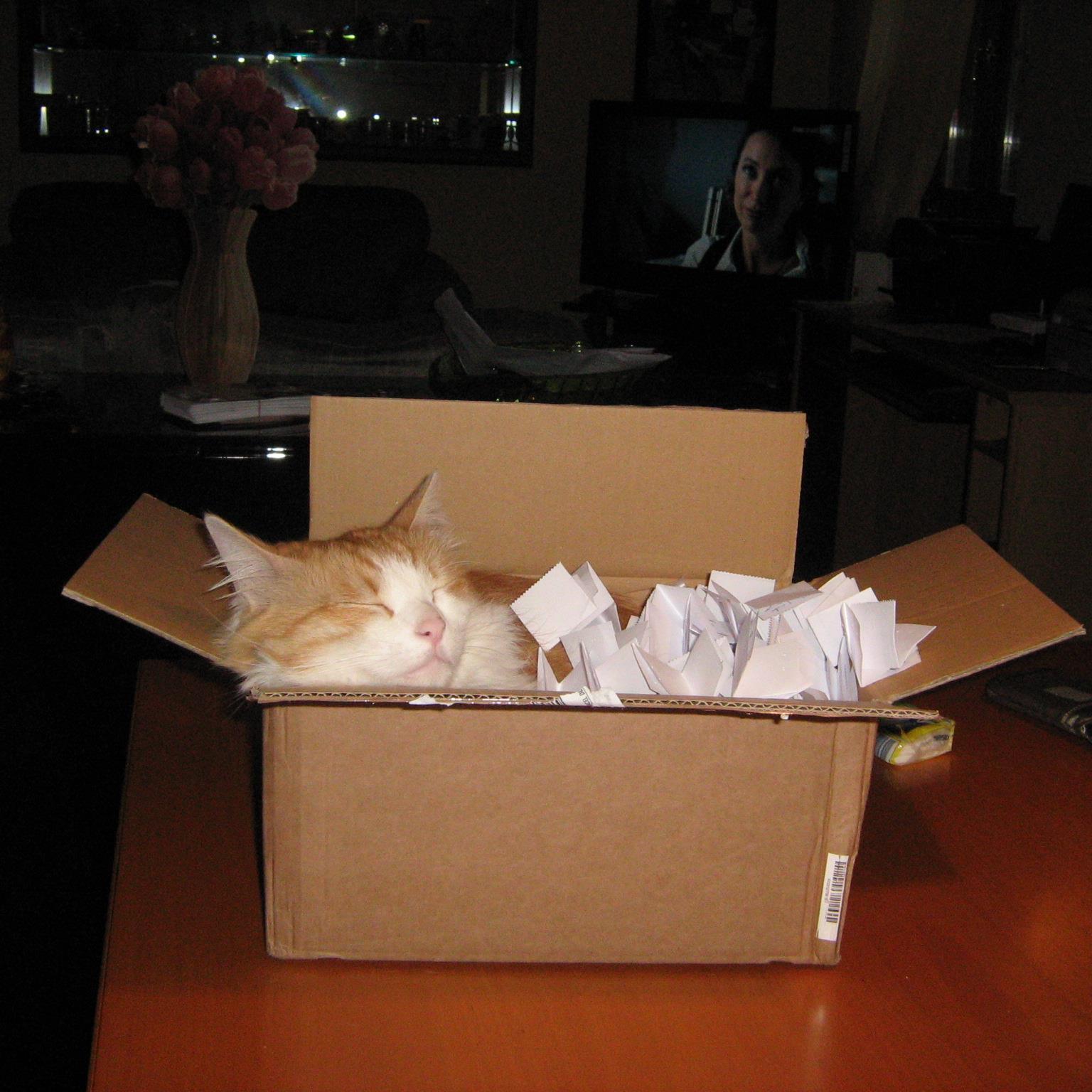 mariael57209194's profile picture. 