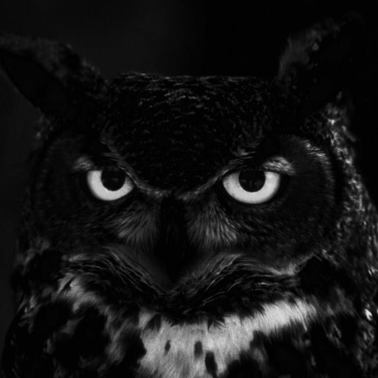 SugarBuzz80's profile picture. Where we're from the birds sing a pretty song...and there's always music in the air. ~ ~ https://t.co/wnJZhO070Q~ ~