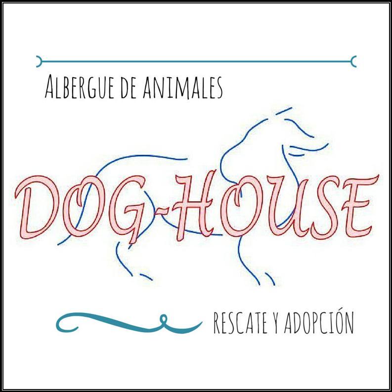 Albergue de Animales Dog House. Todos los animales abandonados se merecen una segunda oportunidad :) ¿Nos ayudas a encontrarles un hogar? #NoCompresAdopta