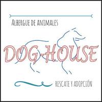 Albergue Dog House (@adoptadoghouse) 's Twitter Profile